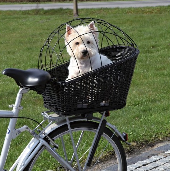 TRIXIE Koer jalgrattale 35 x 49 x 55 cm must