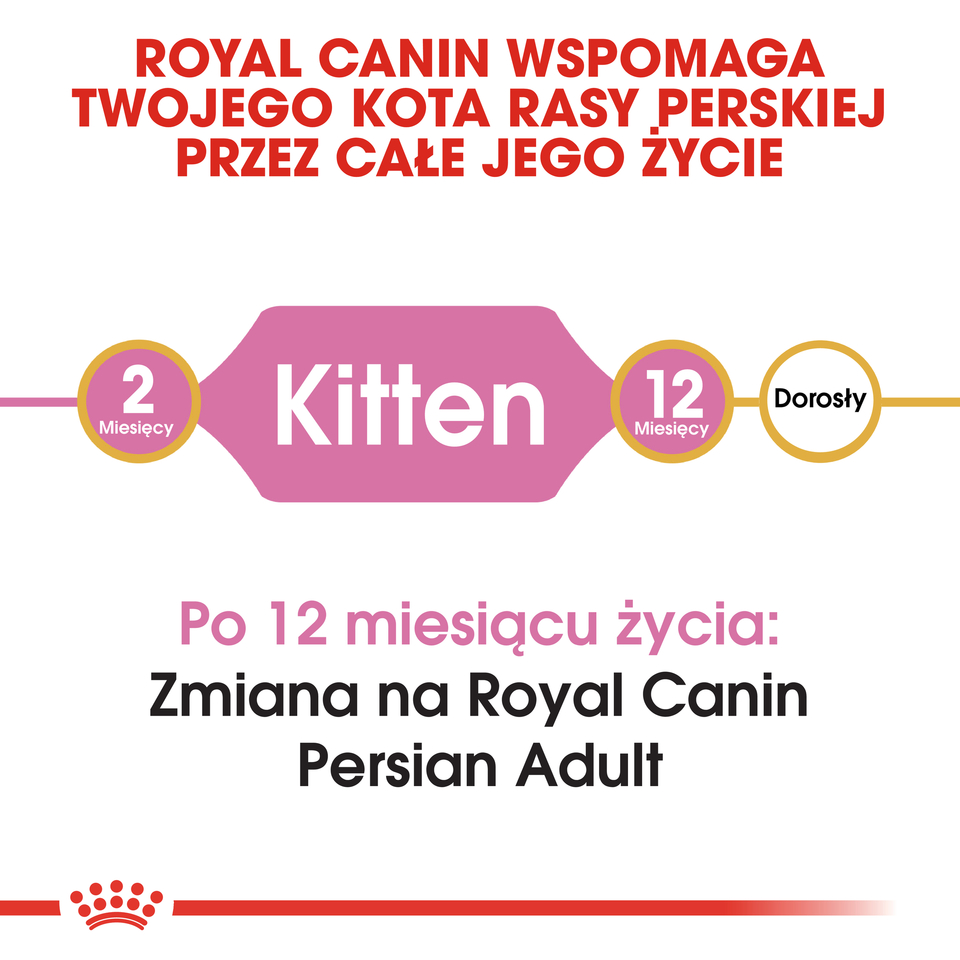 ROYAL CANIN Kitten persian 2 kg kuivtoit kassipoegadele kuni 12 kuu vanuselt persia tõust