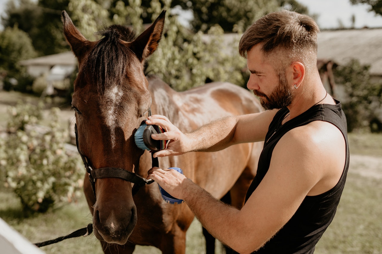 Valmistage oma hobune alati enne ratsutamist ette. Pärast sõitu tuleks see puhastada.
