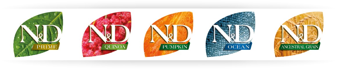 n-and-d-logotipas