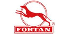 FORTAN logo