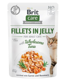 BRIT Care Wholesome Filee tuunikala tarretis 85 g kassidele