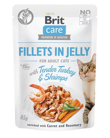 BRIT Care Cat Fillets in Jelly Tender Turkey & Shrimps 85 g kalkun ja krevetid