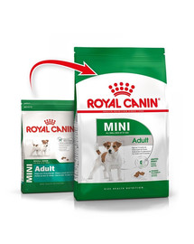 ROYAL CANIN Mini Adult 2 kg kuivtoit väikestele tõugudele + BAYER FORESTO puuki- ja kirbuhoidja alla 8 kg kaaluvatele kassidele ja koertele