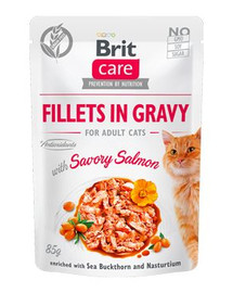BRIT Care Fillets in gravy savory salmon Lõhefilee vürtsikas kastmes 24 x 85 g