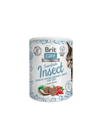 BRIT Care Cat  Putukahõrgutis kassidele 100 g