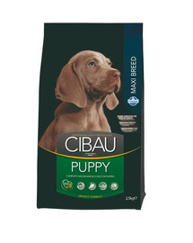 CIBAU Puppy Maxi 2,5 kg suurte tõugude kutsikatele