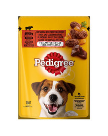 PEDIGREE täiskasvanud märja koeratoit želees 24 x 100 g kotikeses