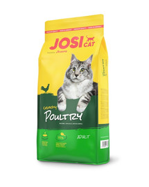 JOSERA JosiCat Crunchy Poultry 10 kg kuivtoit kassidele kanalihaga