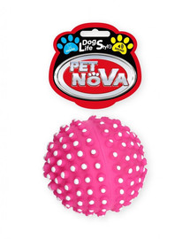 PET NOVA DOG LIFE STYLE 6,5cm suurune roosa siilipall koos sangadega