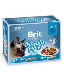 BRIT Premium Gravy fillet Family  Kotikesed kastmes kassidele, maitsesegu 48 x 85 g