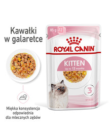 ROYAL CANIN  märgtoit kassipoegadele tarretises kuni 12 kuud