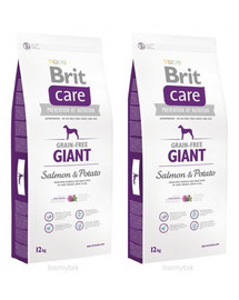 BRIT Care Grain-Free Giant BRIT Care teraviljavaba toit lõhe ja kartuliga 24 kg (2 x 12 kg)