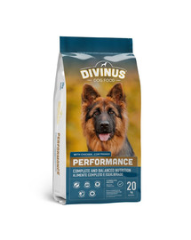 DIVINUS Performance saksa lambakoerale ja aktiivsetele koertele 20 kg