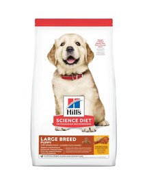 HILL'S Puppy Large Breed Chicken 14,5 kg