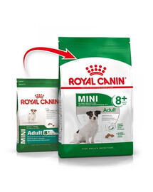 ROYAL CANIN Mini Adult 8+ 800 g kuivtoit vanematele koertele vanuses 8 kuni 12 aastat väikestele tõugudele x 15