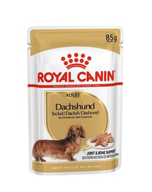 ROYAL CANIN Jamnik Adult 24 x 85 g märgtoit spetsiaalselt täiskasvanud mära koertele