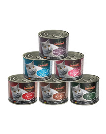 LEONARDO Quality Selection maitsesegukomplekt 12 x 200 g