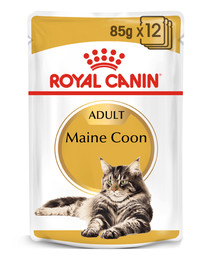 ROYAL CANIN Maine coon märgtoit kotikestes 48x85 g