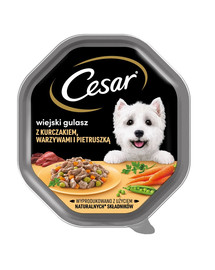 CESAR tacka 14x150 g Täiskasvanud koertele  märg toit kana-, köögivilja- ja peterslikastmes