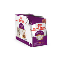 ROYAL CANIN Sensory Taste tarretis 24x85 g tükid kastmes täiskasvanud kassidele maitseelamusi ergutav