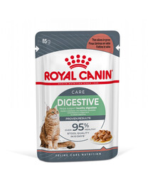 ROYAL CANIN Digest SENSITIVE kastmes 24x85 g tundliku seedesüsteemiga kassidele