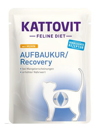 KATTOVIT Feline Diet RECOVERY Taastamiseks kuuriaga 85 g