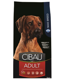 CIBAU Adult Maxi küpsetele suurt tõugu koertele 12 kg