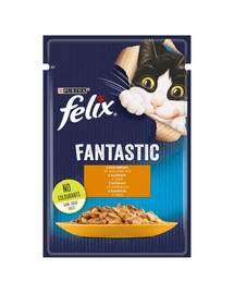 FRISKIES FANTASTIC vištiena drebučiuose  85g kačių drėgnas maistas