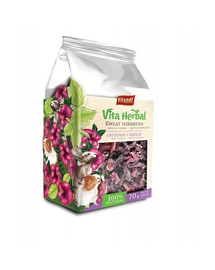 VITAPOL Vita Herbal närilistele ja küülikutele, hibisk 70g