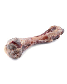 MACED Bones Parma singiga 2 tk.