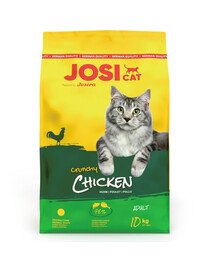 JOSERA JosiCat Crunchy Chicken 10kg koos kodulindudega täiskasvanud kassidele