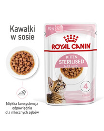 ROYAL CANIN Kitten Sterilised märja toidu kastmes kuni 12 kuu vanustele kassipoegadele, steriliseeritud 48 x 85 g