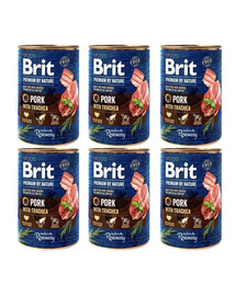 BRIT Premium by Nature 6x400 g sealiha ja söögitoruga koertele