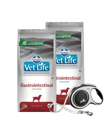 FARMINA Vet Life Gastrointestinal dieettoit koertele ägeda soolestiku imendumishäire vähendamiseks 12 kg + FLEXI New Comfort L rihm 8m KINGITUSEKS