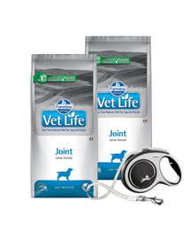 Farmina Vet Life Joint koertele liigesepõletiku toetamiseks 12 kg x 2 + FLEXI New Comfort L rihm 8 m KINGITUSEKS