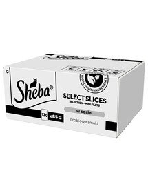 SHEBA Selection Select Slices Poultry Flavours kotikesed 120x85g kastmetükkidega: part, kana, linnuliha, part ja kalkun täiskasvanud kassidele
