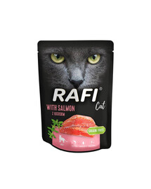 DOLINA NOTECI Rafi Cat märja kassitoit lõhega 300 g