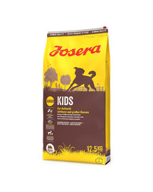 JOSERA Kids 2x12,5kg dla młodych psów ras średnich i dużych
