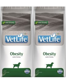 Farmina Vet Life Obesity Fish dieettoit koertele liigse kehakaalu vähendamiseks 12 kg x 2