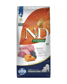 N&D GF Pumpkin  Lambaliha ja mustika kutsikas Medium & Maxi 12 kg