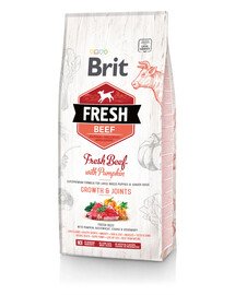 BRIT Fresh  veiseliha kõrvitsaga suurtele kutsikatele 12 kg