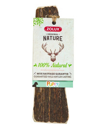 ZOLUX PUPPY hirve sarved lihvitud servadega