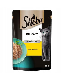 SHEBA Delicacy želees 85g tükkidega kana želees kassidele