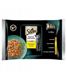 SHEBA Selection Select Slices Poultry Flavours 4x85g märgtoit kassipoegadele pardi-, kana-, kodulinnu-, pardi- ja kalkunitoiduga