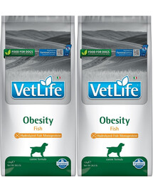 FARMINA Vet Life Obesity Fish dieettoit täiskasvanud koertele 12 kg X2