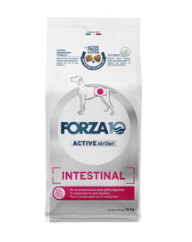 FORZA 10 Intestinal Active Nutraceutical dieet seedeprobleemide korral koertele 10 kg.