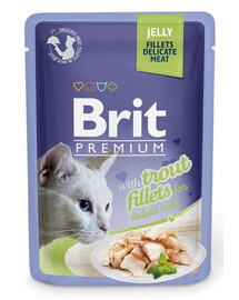 BRIT Premium Cat Fillets in Jelly märgtoit kassidele forelliga 24x85g