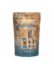 DIVINUS Performance aktiivsetele koertele 100 g