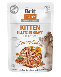 BRIT CARE Fillets in Gravy Pouch Kitten Savory Salmon 24x85g koos lõhega kassipoegade jaoks